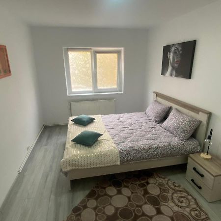 Apartment Dabic Remote And Fun Brasov Bagian luar foto
