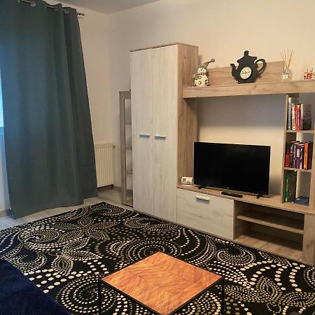 Apartment Dabic Remote And Fun Brasov Bagian luar foto
