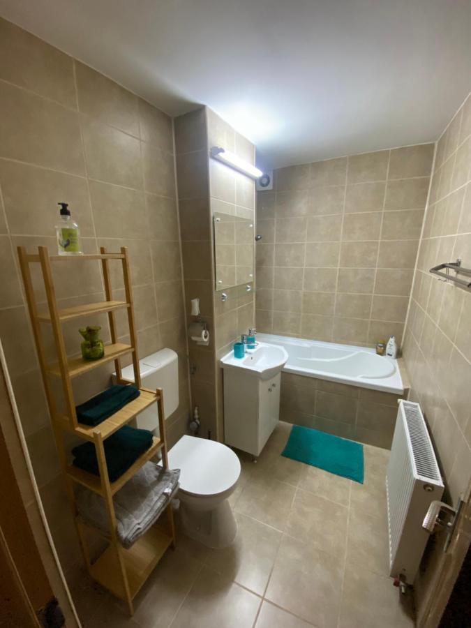 Apartment Dabic Remote And Fun Brasov Bagian luar foto