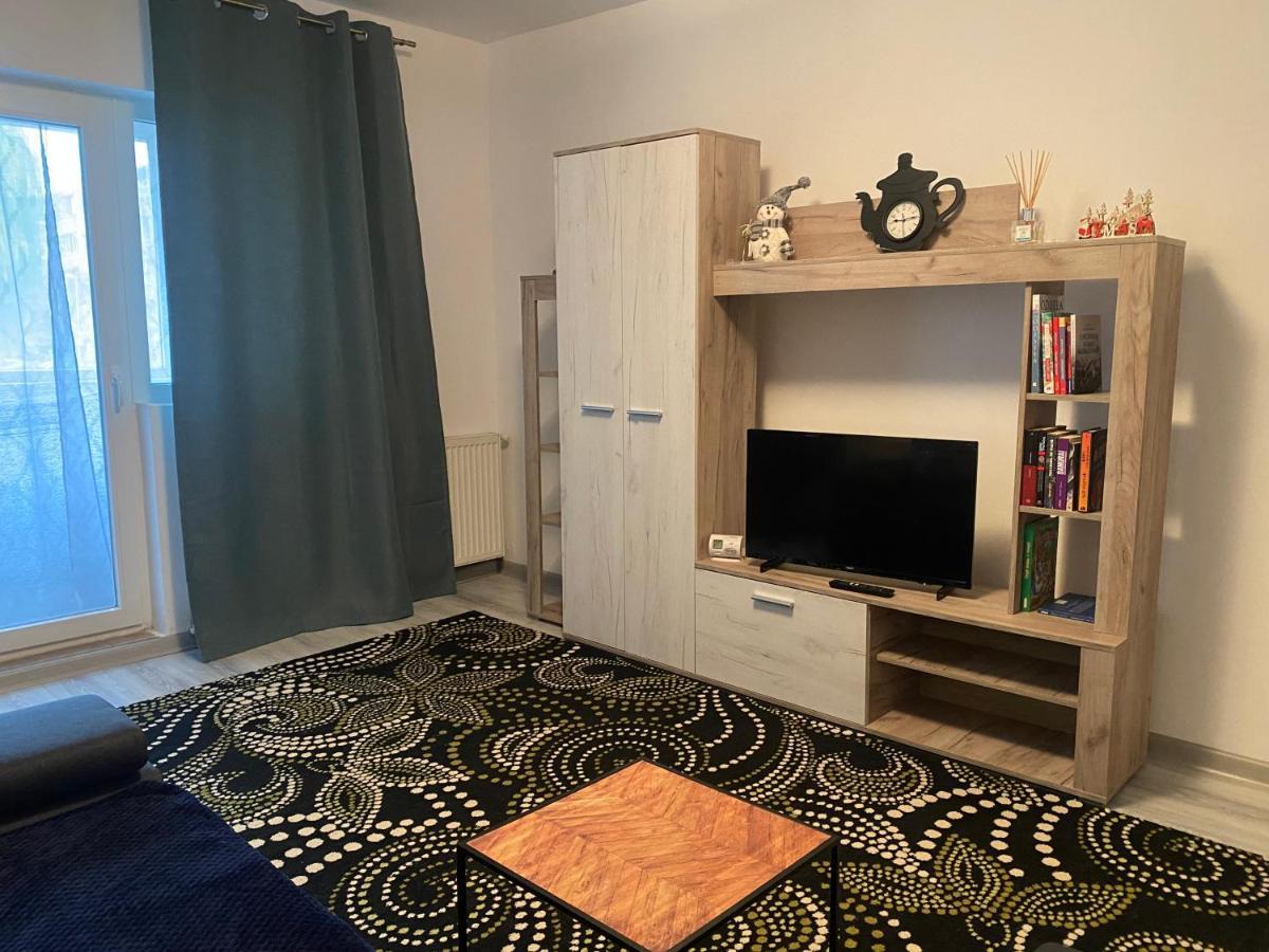 Apartment Dabic Remote And Fun Brasov Bagian luar foto
